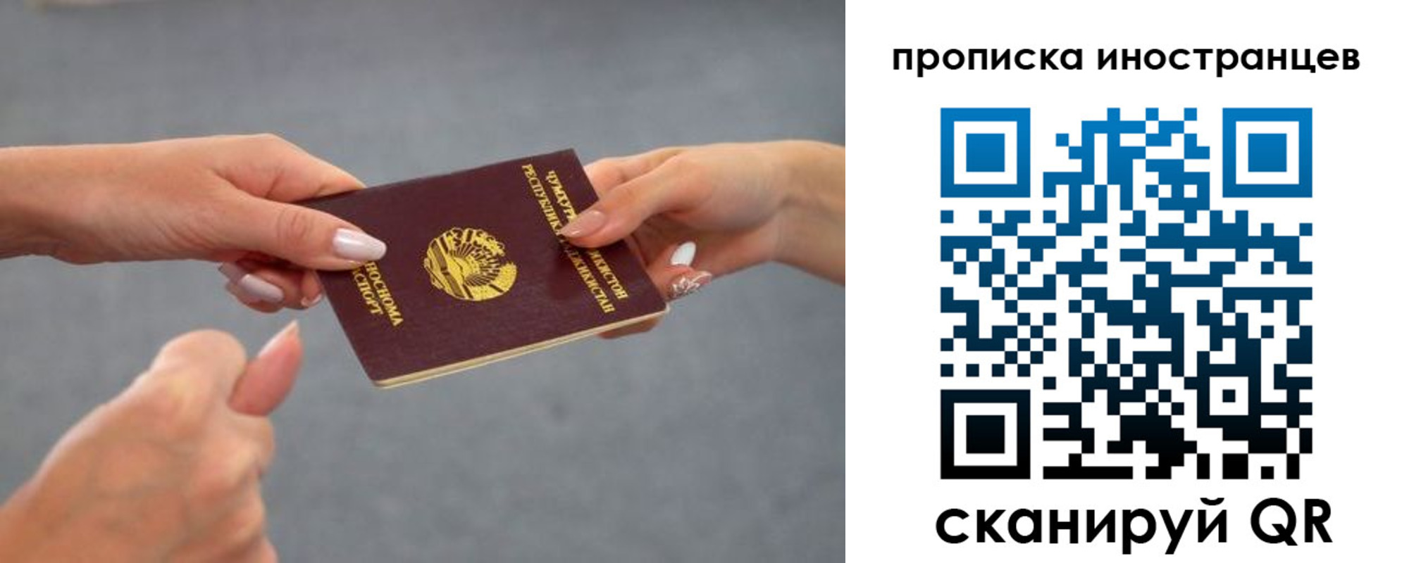где прописаться в Сертолово